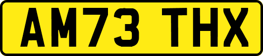 AM73THX