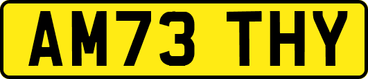 AM73THY