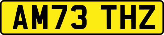 AM73THZ