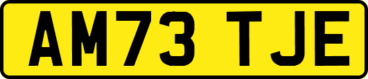 AM73TJE