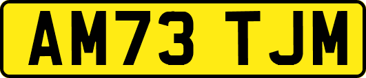 AM73TJM
