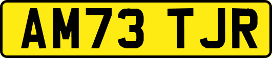 AM73TJR