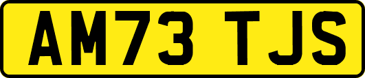 AM73TJS