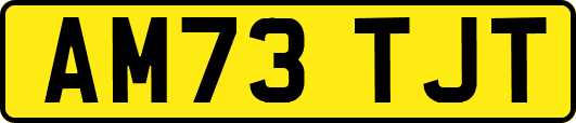 AM73TJT