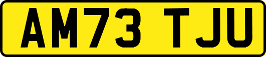 AM73TJU