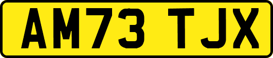 AM73TJX