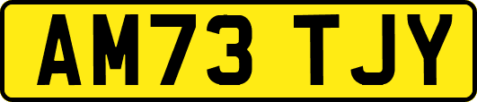 AM73TJY