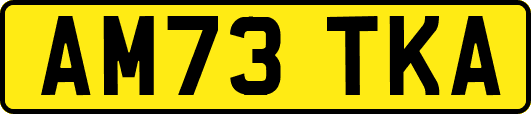 AM73TKA