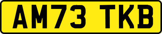 AM73TKB