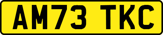 AM73TKC