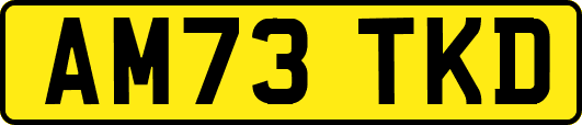 AM73TKD
