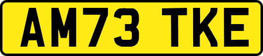 AM73TKE
