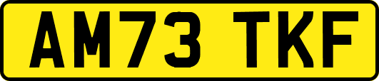 AM73TKF