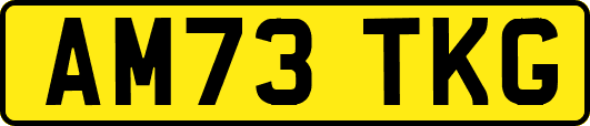 AM73TKG