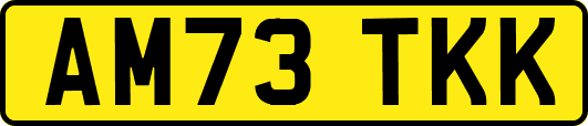 AM73TKK