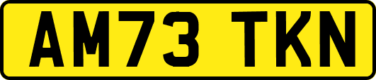 AM73TKN
