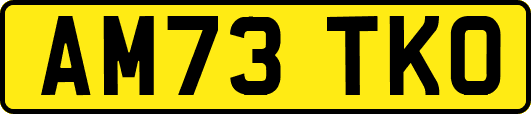 AM73TKO