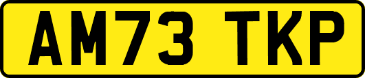 AM73TKP
