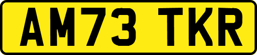 AM73TKR