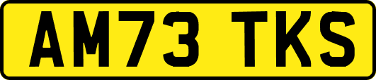 AM73TKS