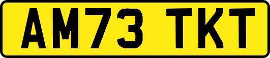 AM73TKT