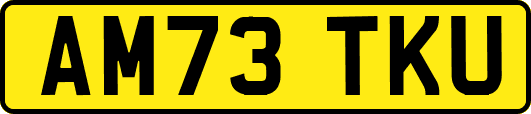 AM73TKU