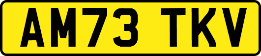 AM73TKV