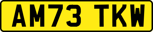 AM73TKW
