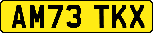 AM73TKX