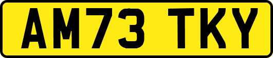 AM73TKY