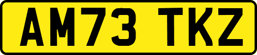 AM73TKZ