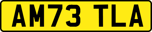 AM73TLA