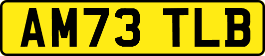 AM73TLB