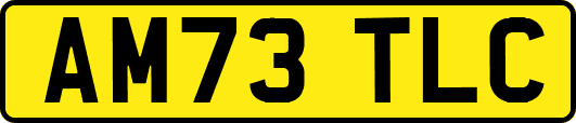 AM73TLC
