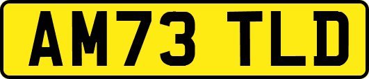 AM73TLD