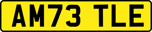 AM73TLE