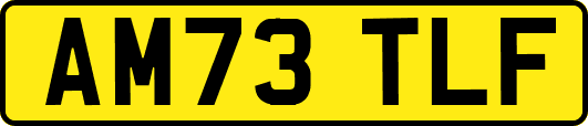 AM73TLF