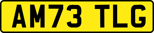 AM73TLG