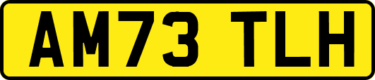 AM73TLH