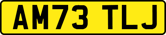 AM73TLJ