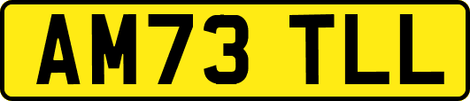 AM73TLL