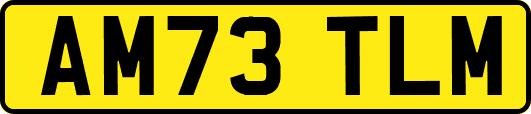 AM73TLM