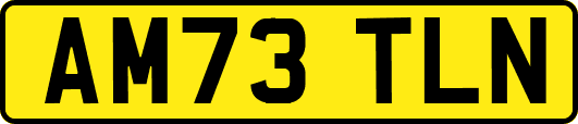 AM73TLN