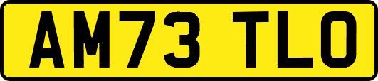 AM73TLO