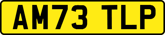 AM73TLP