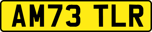 AM73TLR