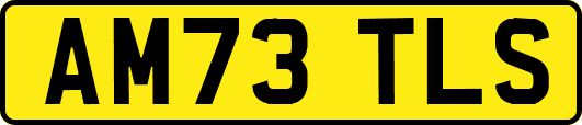 AM73TLS