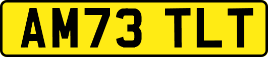 AM73TLT