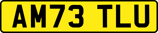 AM73TLU