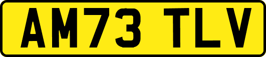 AM73TLV